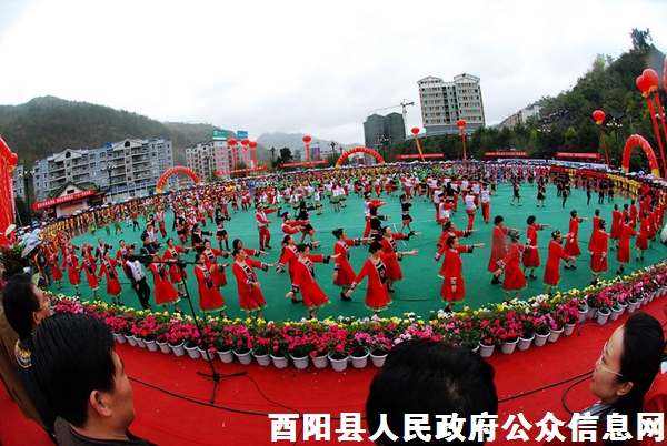 酉陽貼吧小巷深處的獨特風味特色小店最新消息探索指南