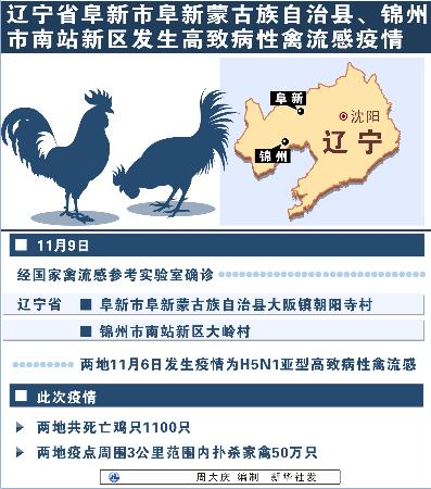 遼寧禽流感最新消息更新