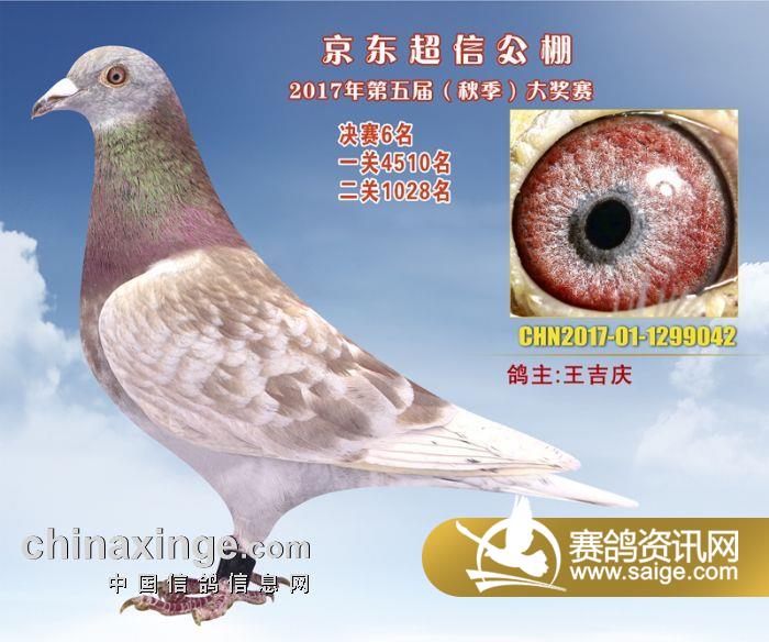 超信公棚最新動態(tài)及觀點(diǎn)論述揭秘