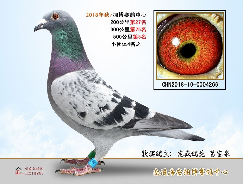 超信公棚最新動態(tài)及觀點(diǎn)論述揭秘