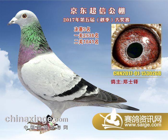 超信公棚最新動態(tài)及觀點(diǎn)論述揭秘