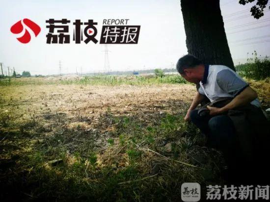 高郵租房網(wǎng) 最新消息,高郵租房網(wǎng) 最新消息