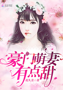 二婚萌妻最新章節(jié)獲取與閱讀指南