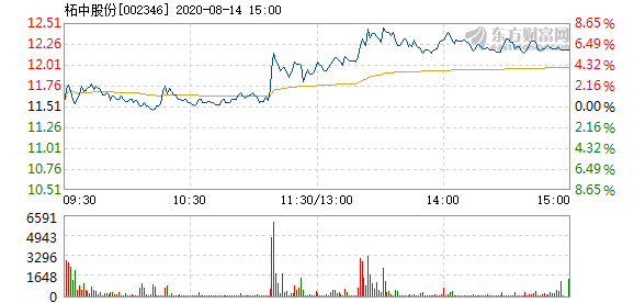 柘中股份股票最新消息解析與觀點速遞