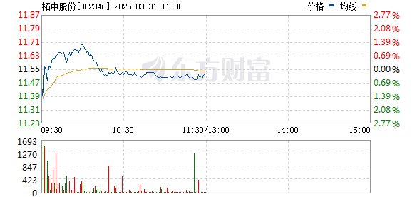 柘中股份股票最新消息解析與觀點速遞