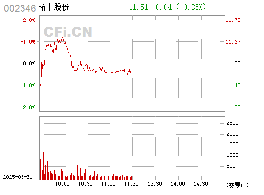 柘中股份股票最新消息解析與觀點速遞