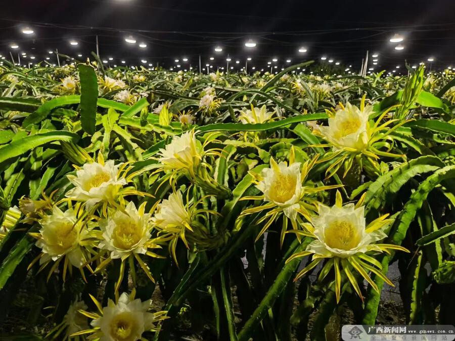 浦北新聞網(wǎng)最新資訊速遞