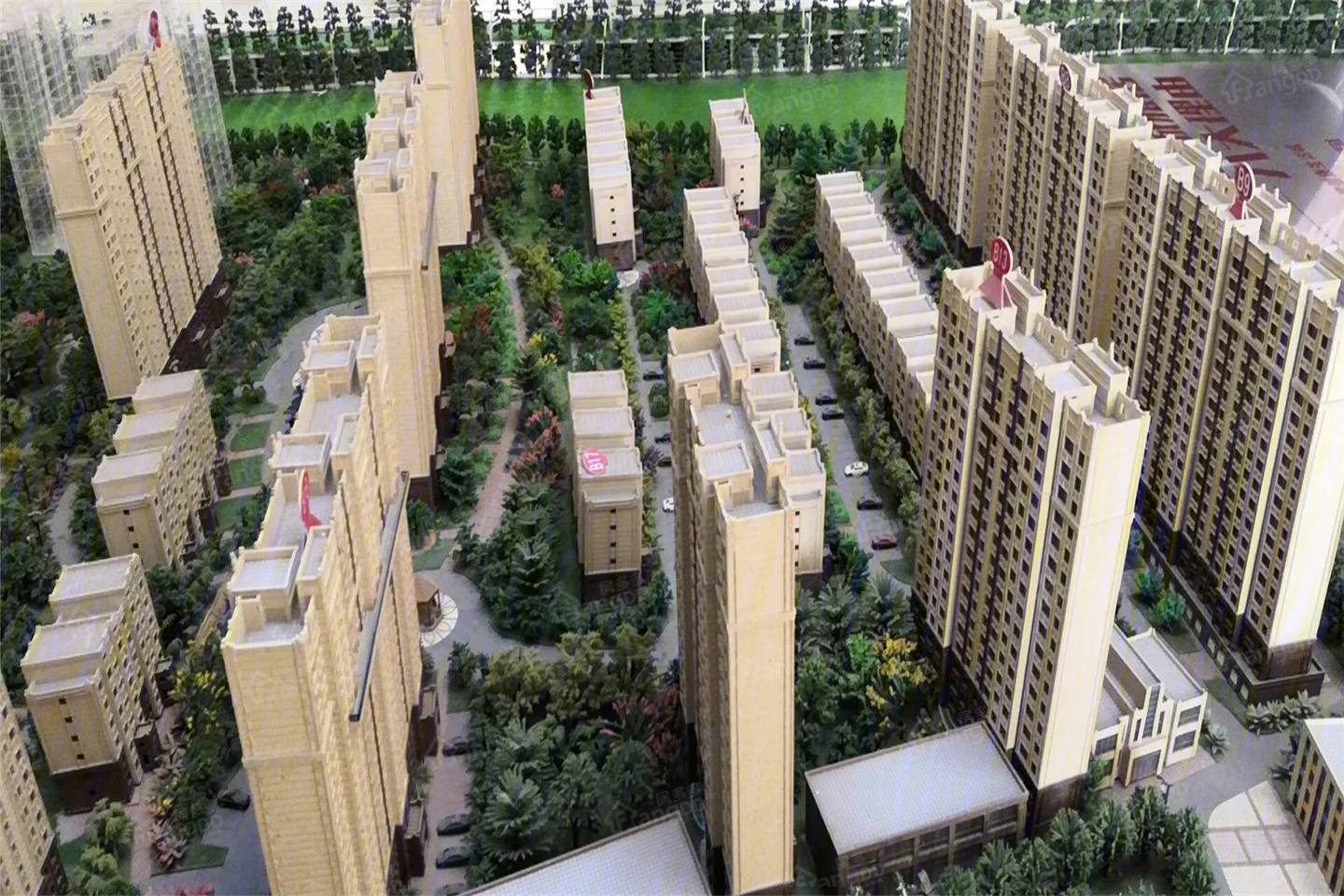 盤錦錦上陽光最新動態(tài)更新通知