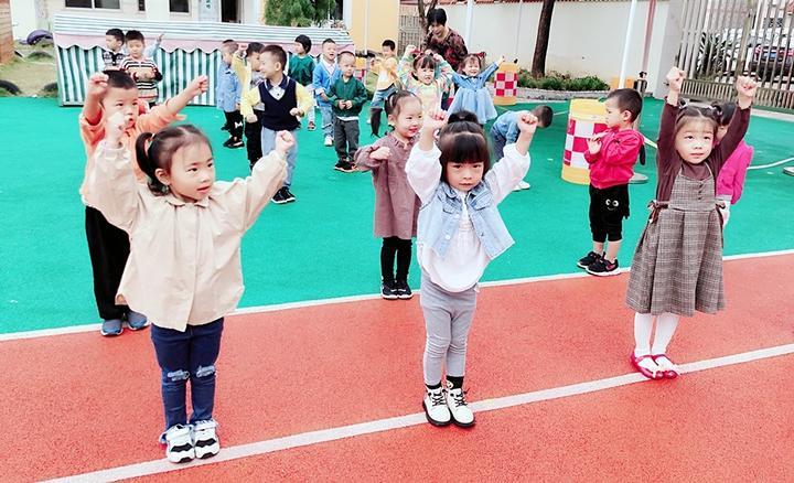 幼兒園早操視頻最新版與學(xué)習(xí)指南全解析