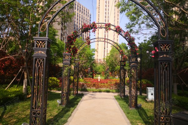 海爾玫瑰蘭庭最新動態(tài)揭秘