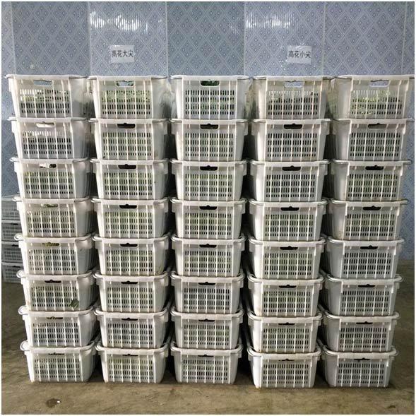 廣南那灑高速建設(shè)最新進展及指南