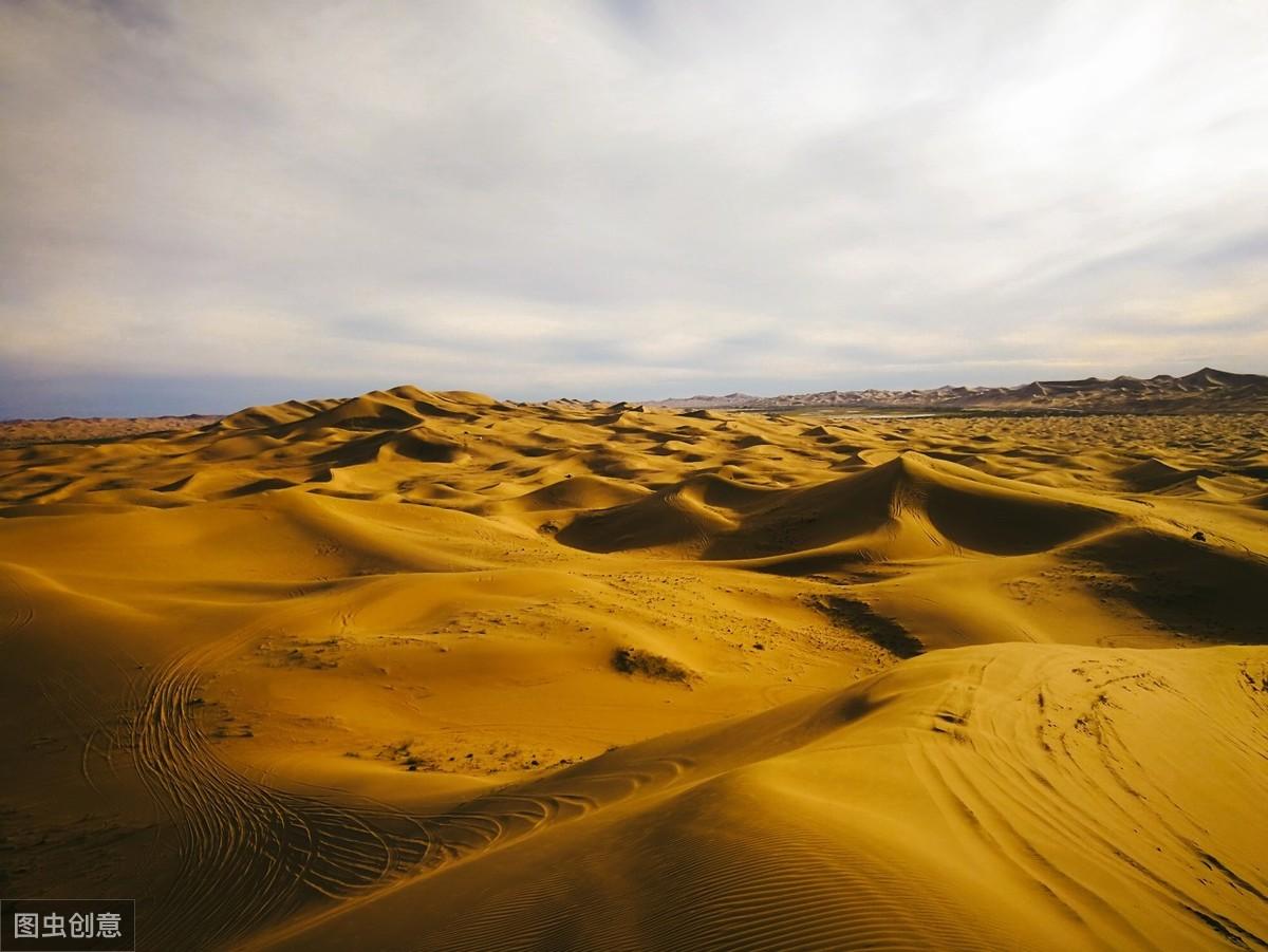 武威紅柳廣告最新一期步驟指南及內(nèi)容概覽