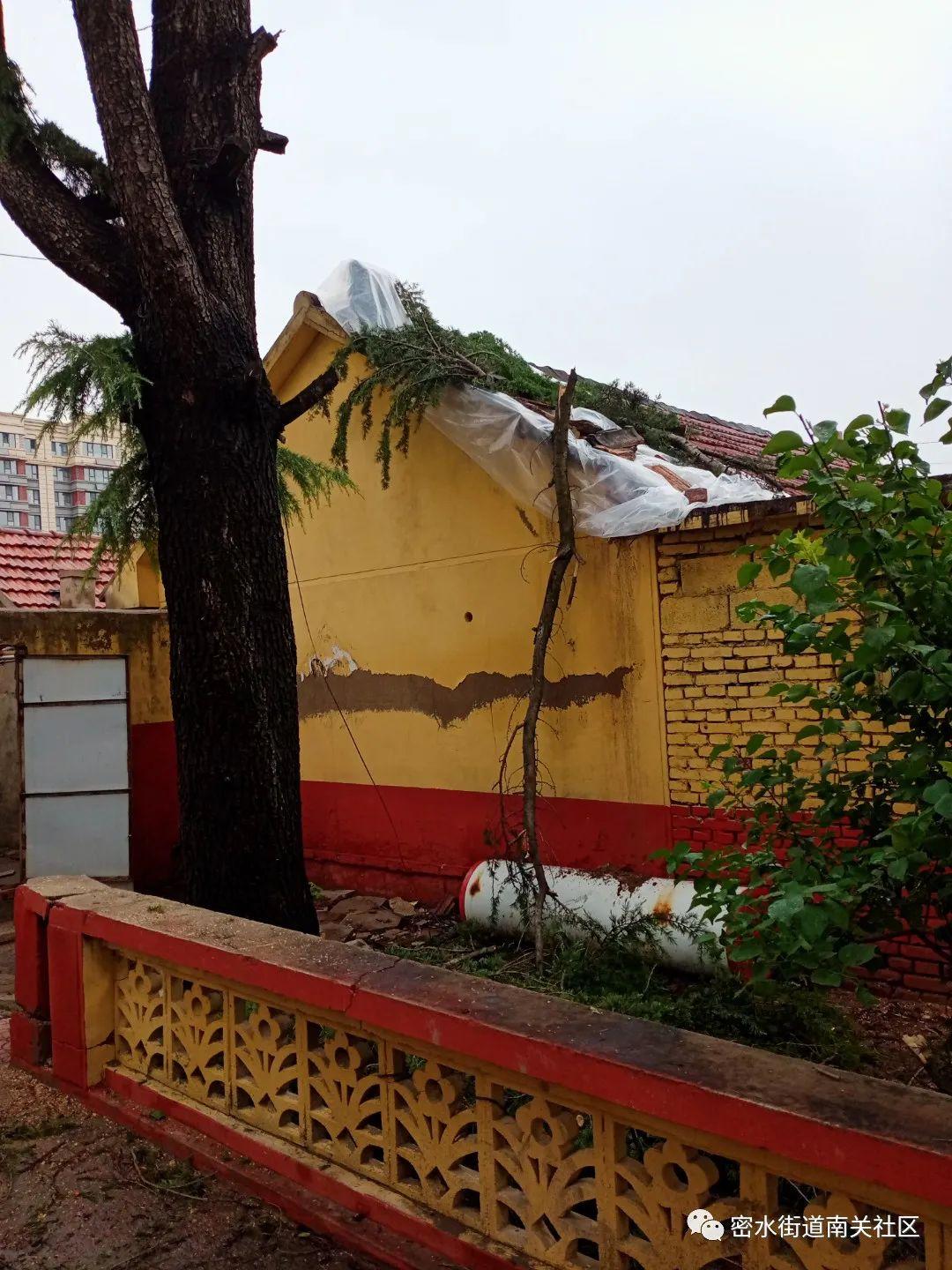 最新高密二手平房出售信息