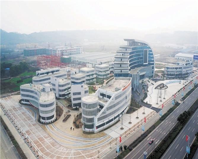 金圓股份股票最新消息,金圓股份股票最新消息