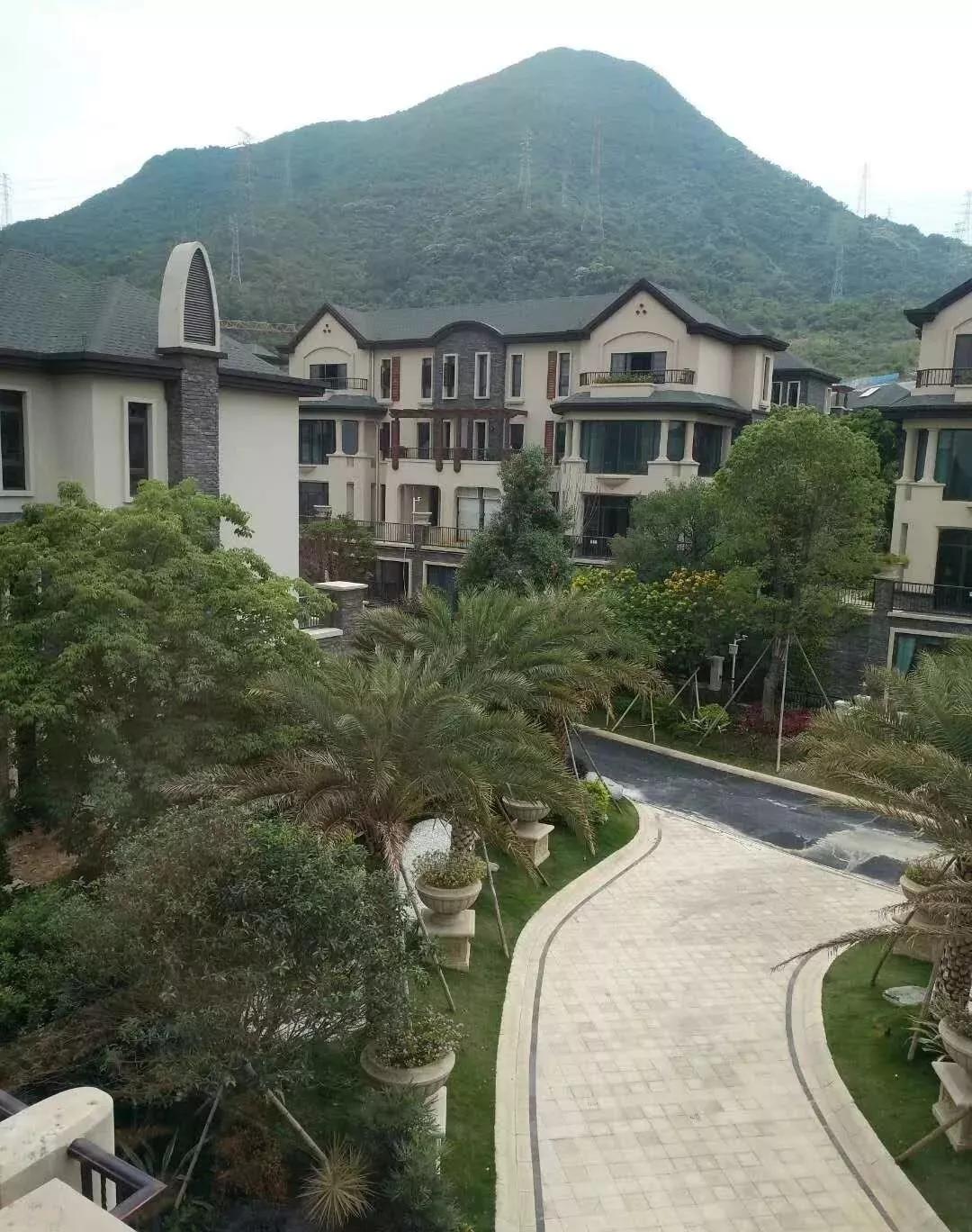 天天逍遙網(wǎng)最新地址探索與觀點闡述