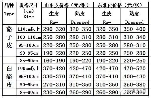 尚村狐貍皮格行情及情緣揭秘