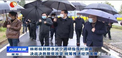 武寧最新疫情實時更新報告