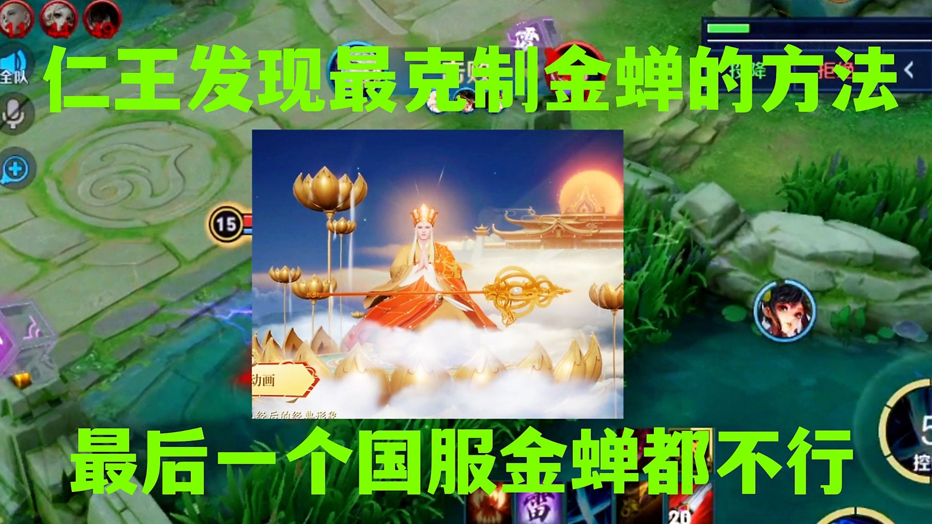 金蟬最新規(guī)定及其觀點(diǎn)論述解析