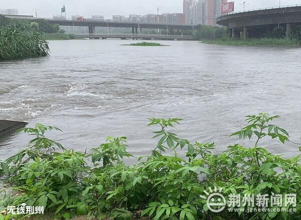 荊州最新水位及小巷獨特美食探索