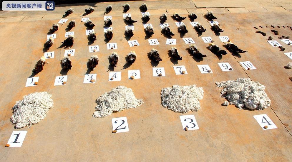 施甸最新疫情動態(tài)及防疫任務指南與技能學習全攻略