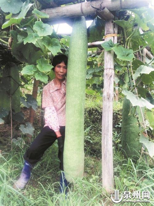 永春新聞聚焦,小城溫馨日常與家的溫暖故事