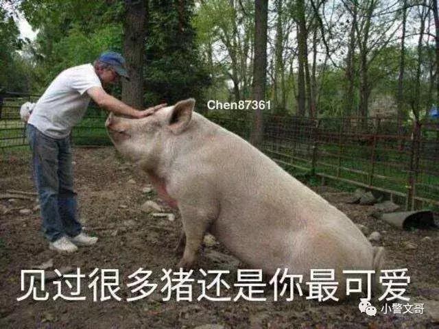 黃石最新疫情動態(tài)及觀點論述