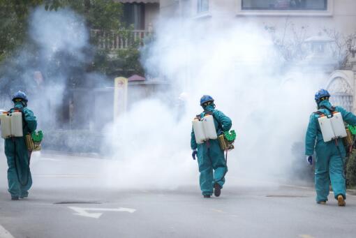 西塘最新疫情下的溫馨日常紀(jì)實(shí)