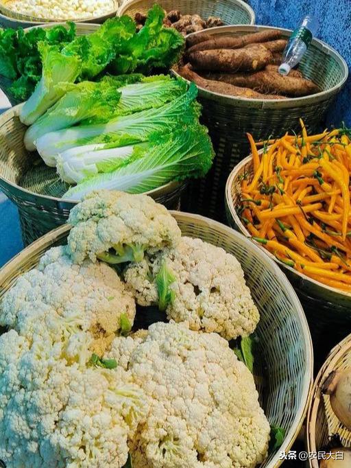 最新雞疫情概述與動(dòng)態(tài)分析