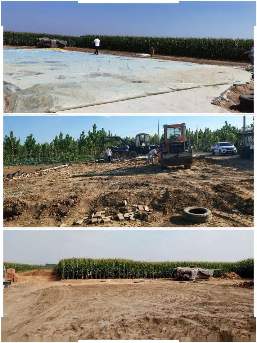 曲周最新違建問題審視與觀點(diǎn)表達(dá)