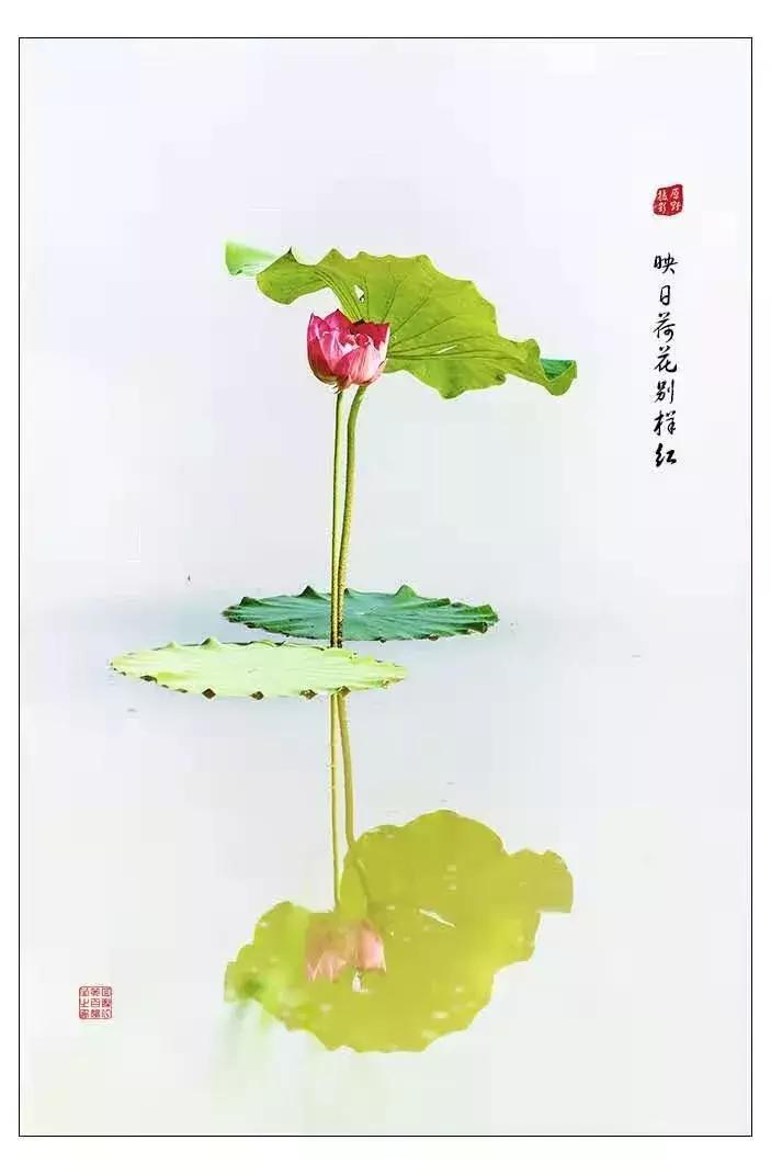 熱門影視動(dòng)態(tài)速遞，最新電影短句聚焦