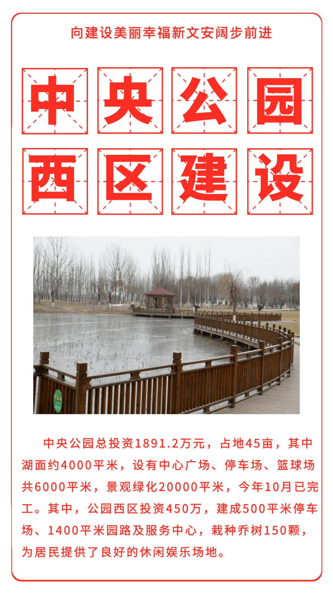 最新文安觀點闡述與分析概覽