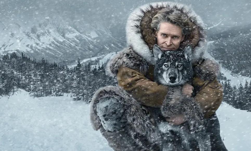 多哥最新疫情下的日常點滴溫暖