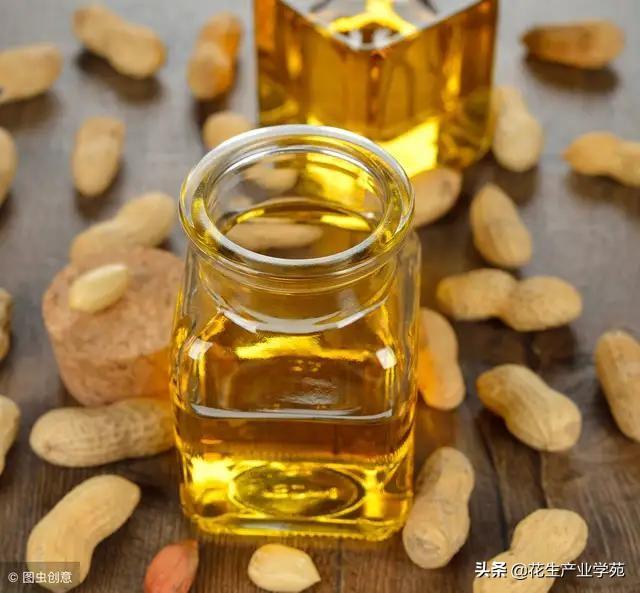 最新豆油報(bào)價(jià)獲取指南及市場行情分析
