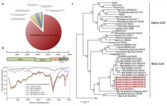 全球病毒最新動(dòng)態(tài)匯總與疫情關(guān)鍵信息解讀
