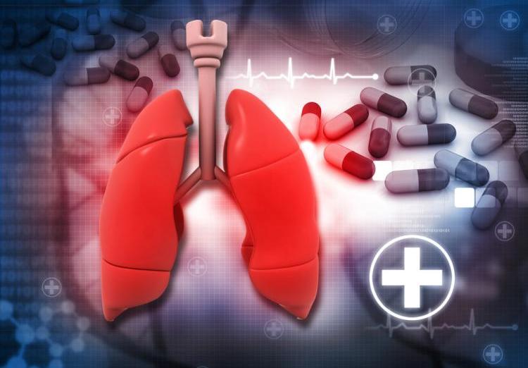 全球最新肺炎疫情動態(tài)分析與新增情況概述