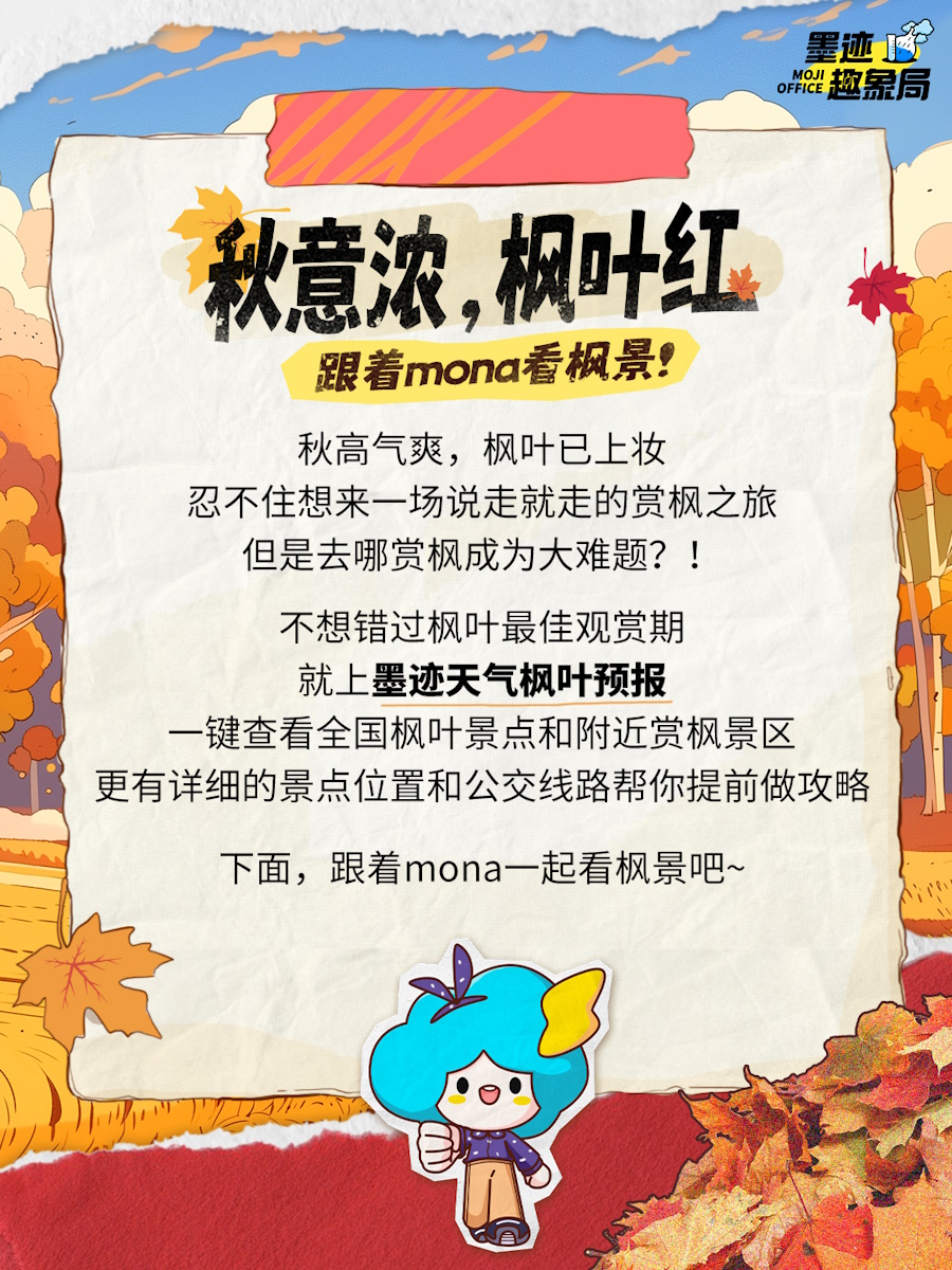 楓葉紅了最新——小巷美食的秘密