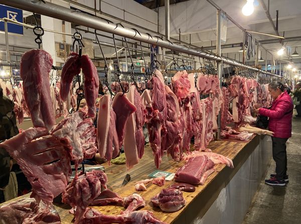 威寧最新肉價獲取指南及市場行情解析