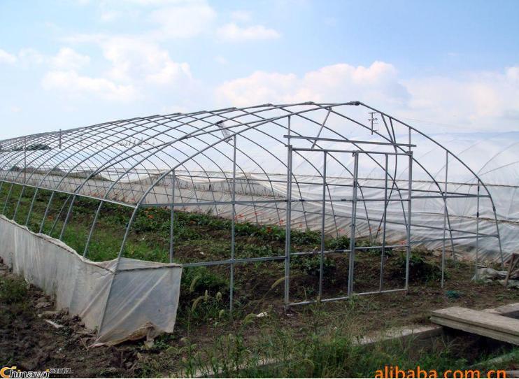 最新大棚溫室技術(shù)及其觀點(diǎn)論述