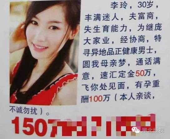 少婦最新番號背后的社會現(xiàn)象解讀與多元探討