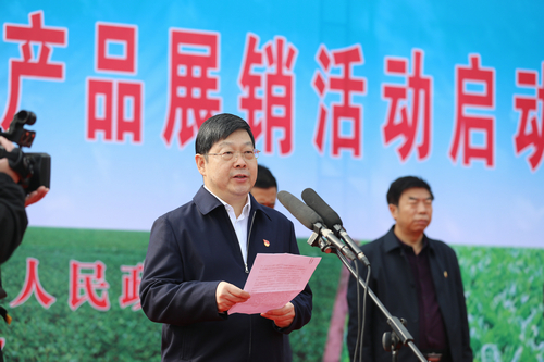 毛文明最新技能學習與實踐步驟指南詳解