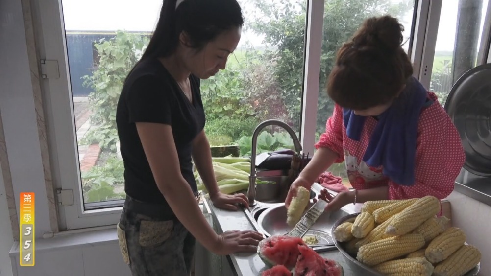 農(nóng)民王小聚焦農(nóng)村新貌與農(nóng)業(yè)創(chuàng)新最新視頻曝光