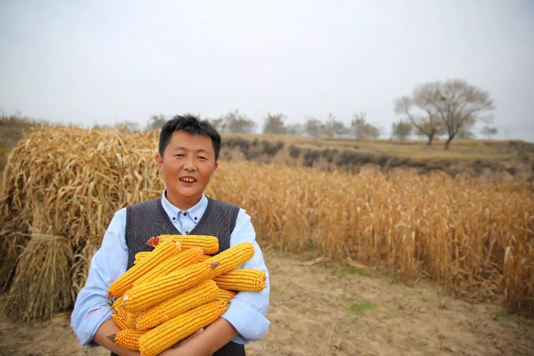 農(nóng)民王小聚焦農(nóng)村新貌與農(nóng)業(yè)創(chuàng)新最新視頻曝光