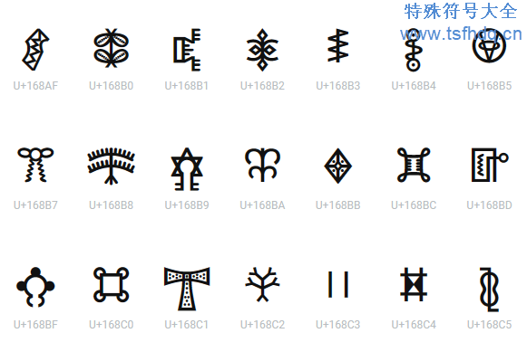 最新特殊符號深度分析與個人觀點解讀