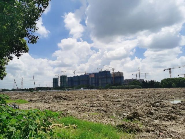 蘇州最新土拍詳解,初學(xué)者與進(jìn)階用戶的步驟指南