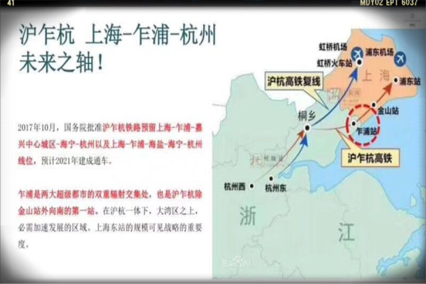 乍浦最新動(dòng)態(tài)，最新消息匯總