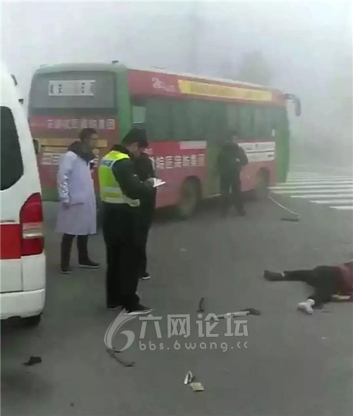 六安車禍最新消息及其觀點論述