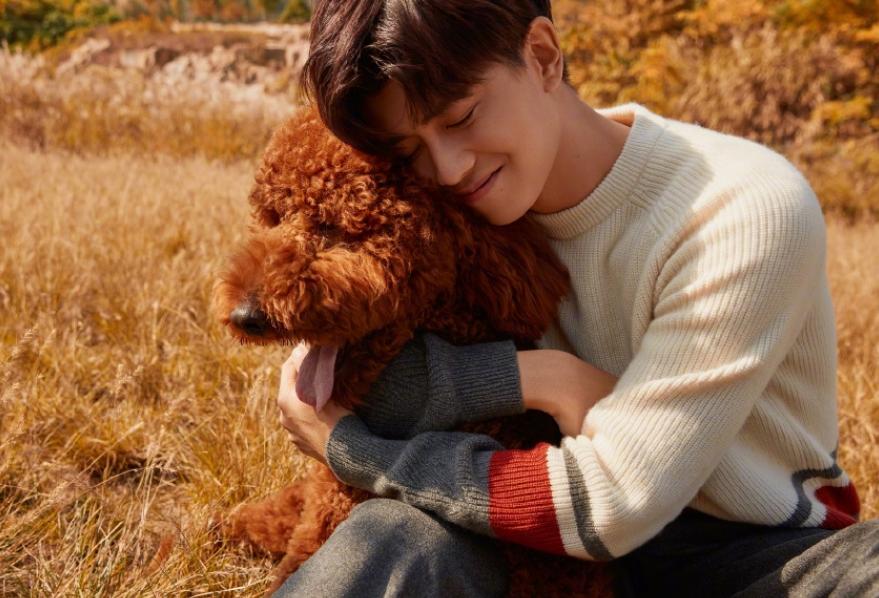 宋茜的最新日常故事與星光下的溫馨時光揭秘