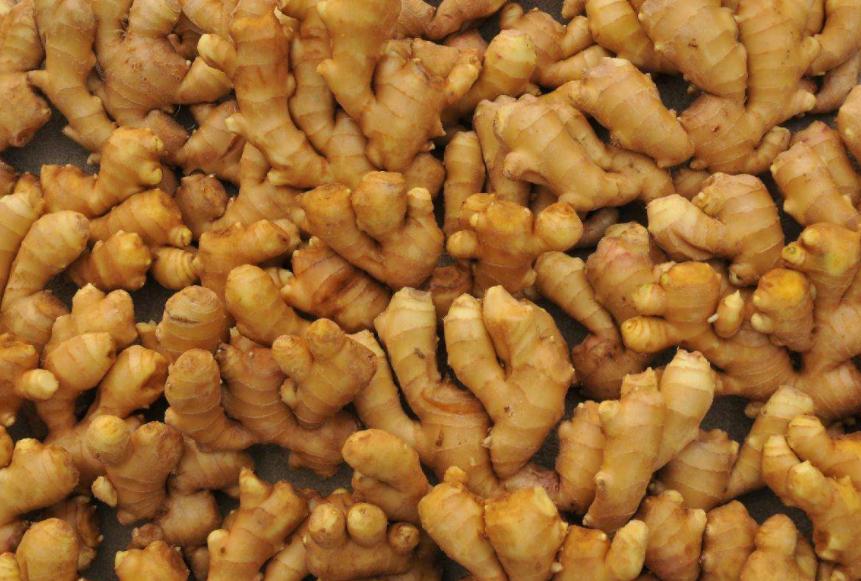 玉米最新價(jià)格走勢(shì)圖及其背后的溫情故事揭秘