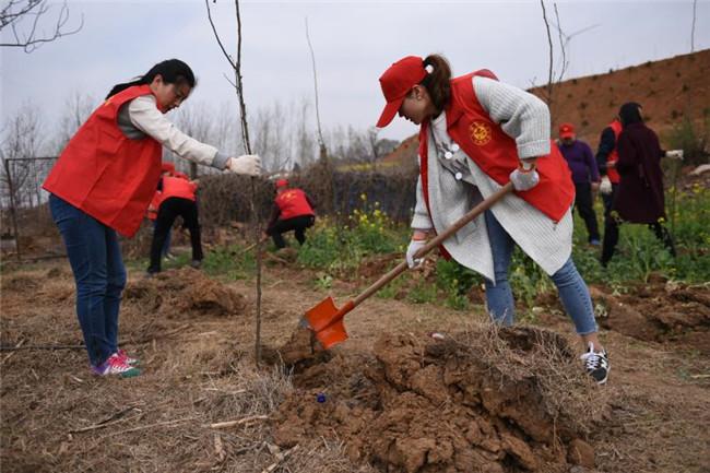 平頂山最新招聘信息更新及動(dòng)態(tài)匯總