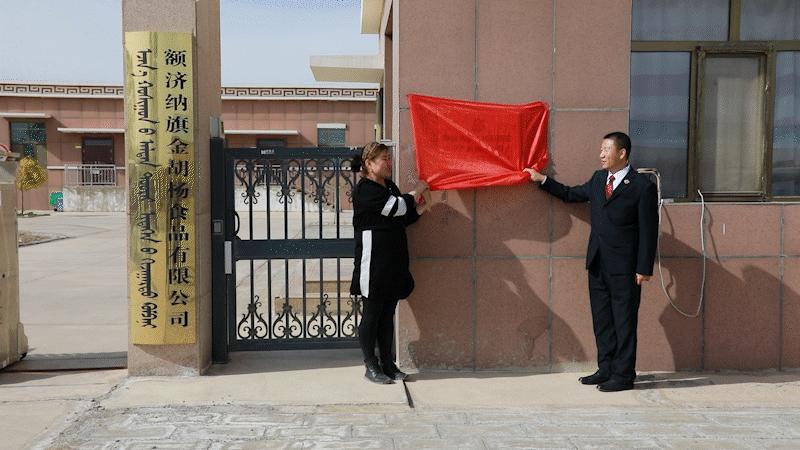 知識產(chǎn)權(quán)最新動態(tài)與高科技產(chǎn)品引領科技潮流介紹